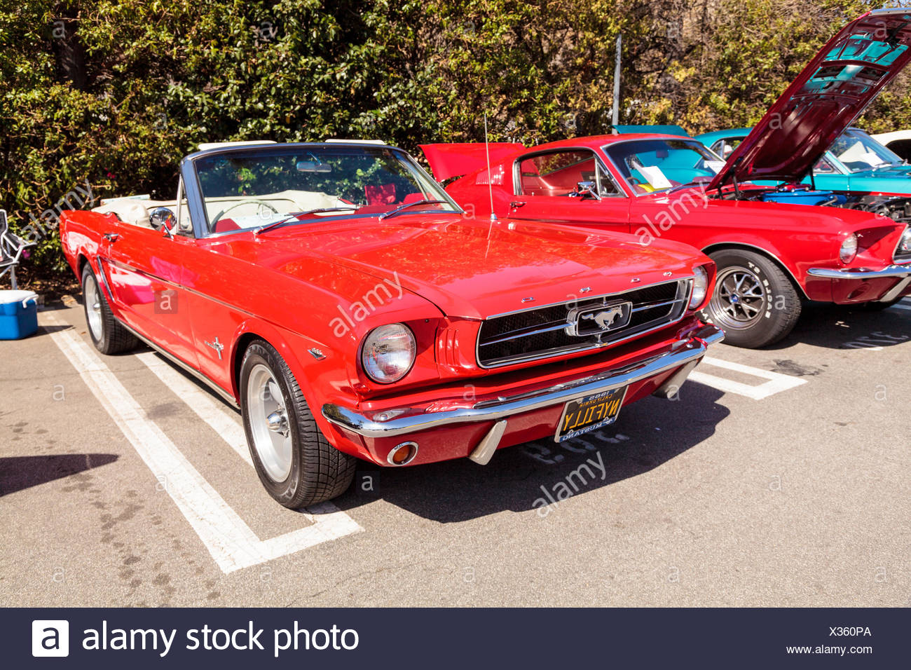 Red 1965 Ford Mustang Stock Photo Alamy