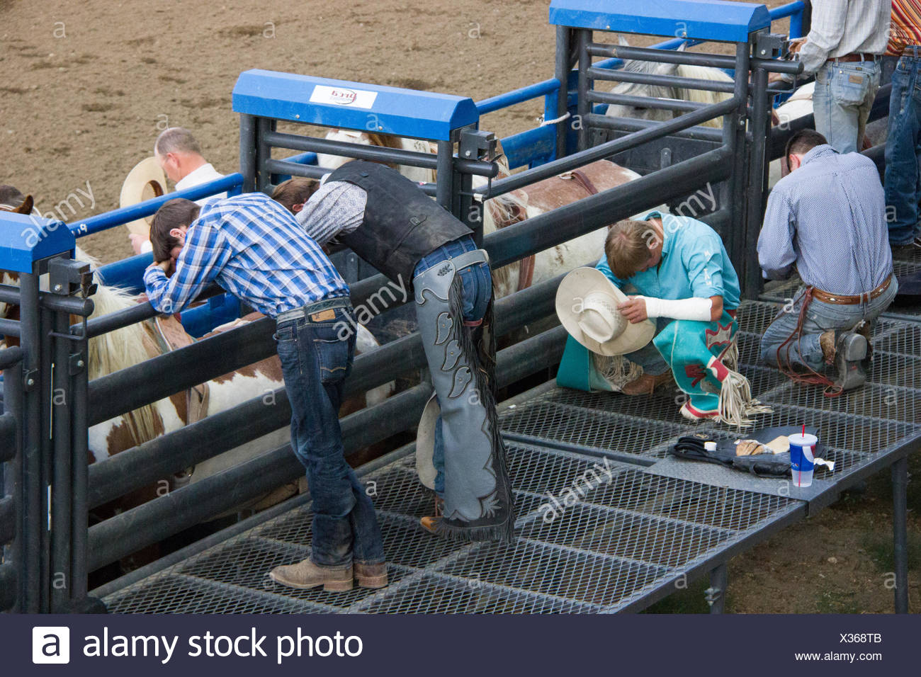 Bull Riders Stock Photos & Bull Riders Stock Images - Alamy