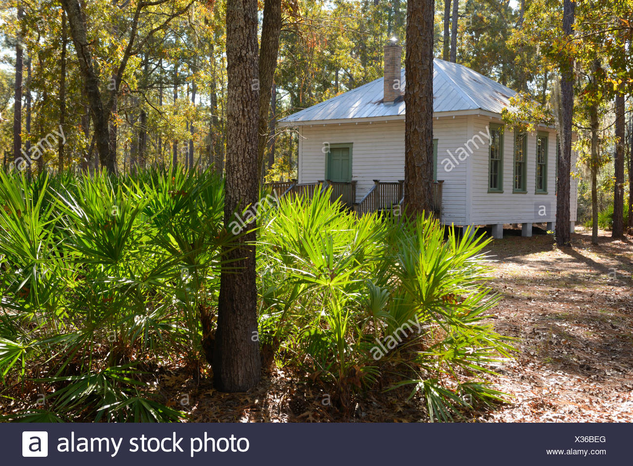 Usa Florida Gainesville Kanapaha Botanical Garden Stock Photo