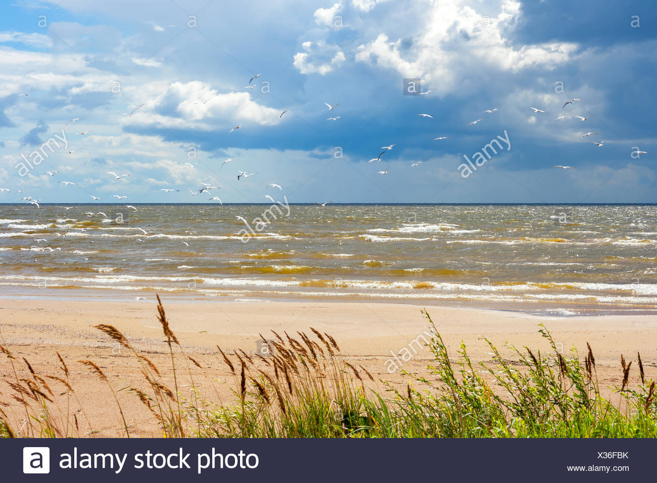 Lake Peipus Stock Photos & Lake Peipus Stock Images - Alamy