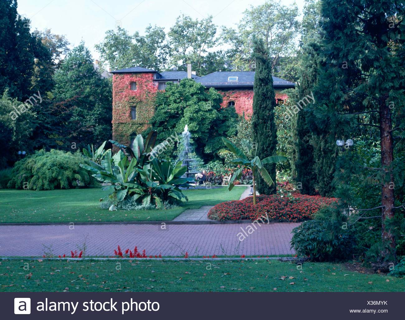 Palmengarten Frankfurt Stock Photos Palmengarten Frankfurt Stock