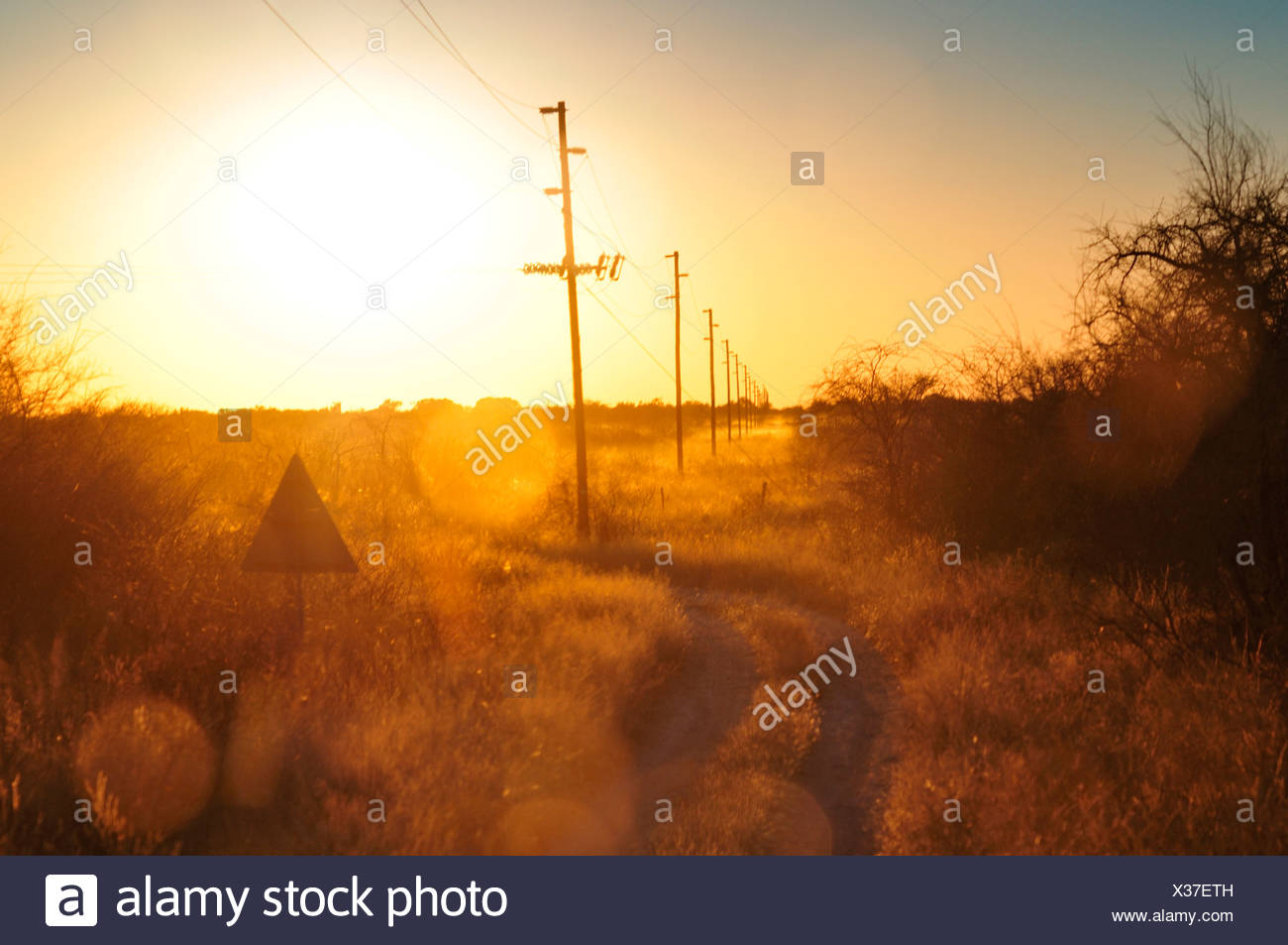 Africa, Namibia, Warm, clan, dusk, electrical, wires, field, high voltage, horizontal Stock Photo