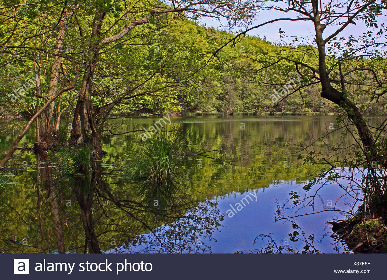 Herthasee Im Nationalpark Jasmund Auf Der Insel Rugen Stock Photo Alamy Herthasee Im Nationalpark Jasmund Auf Der Insel Rugen Stock Photo Alamy