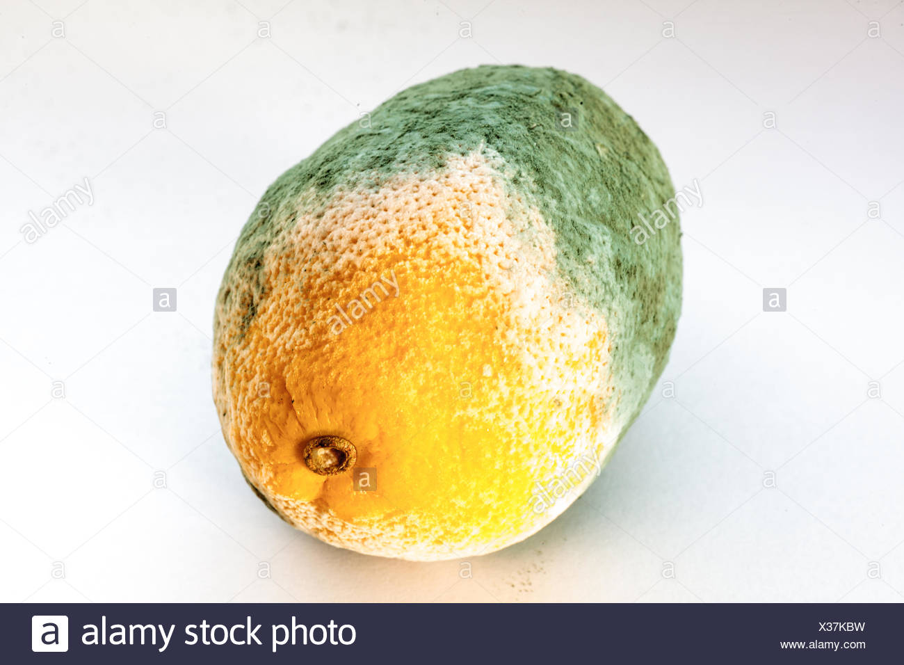 Mouldy Lemon Stock Photos & Mouldy Lemon Stock Images Alamy