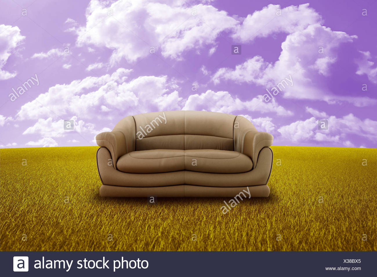Furniture Leather Freedom Liberty Couch Sofa Ecology Meadow Nature