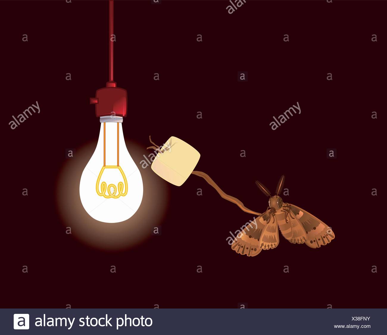Moth Light Bulb Stock Photos & Moth Light Bulb Stock Images Alamy