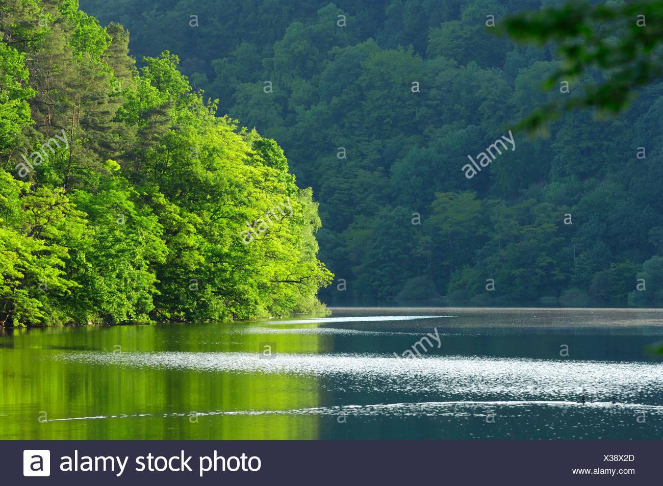 Edersee Stock Photo 277405925 Alamy