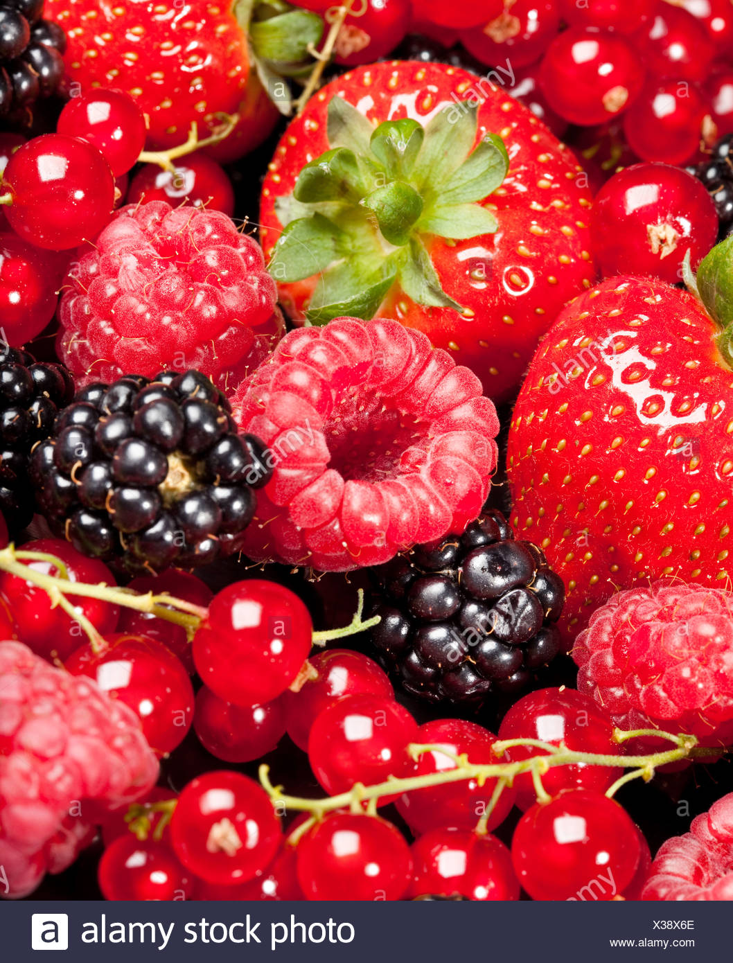 Berrys Stock Photo Alamy Berrys Stock Photo Alamy
