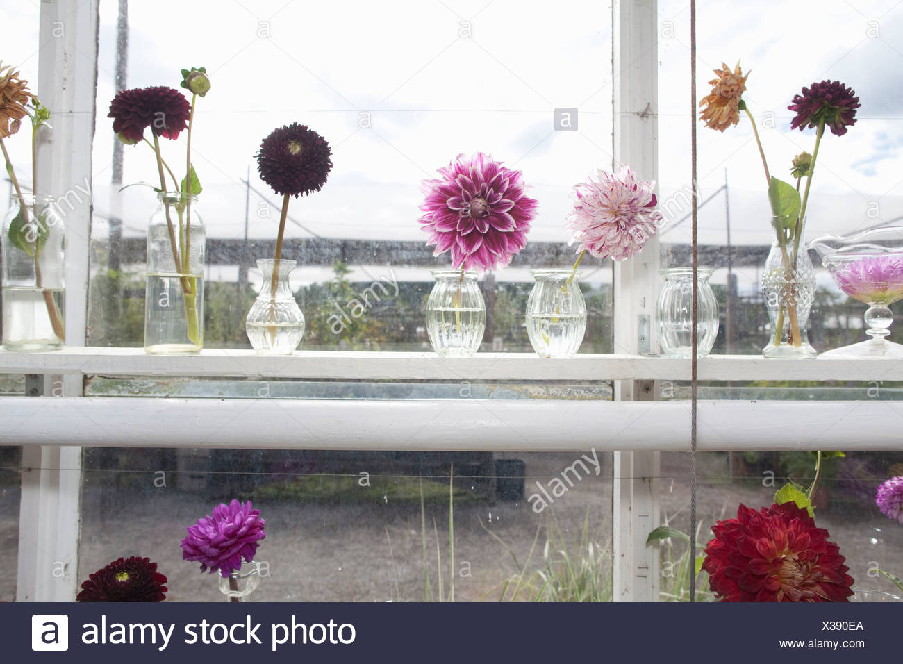 Small Vases Of Purple Flowers In Window Stock Photo 277407826 Alamy