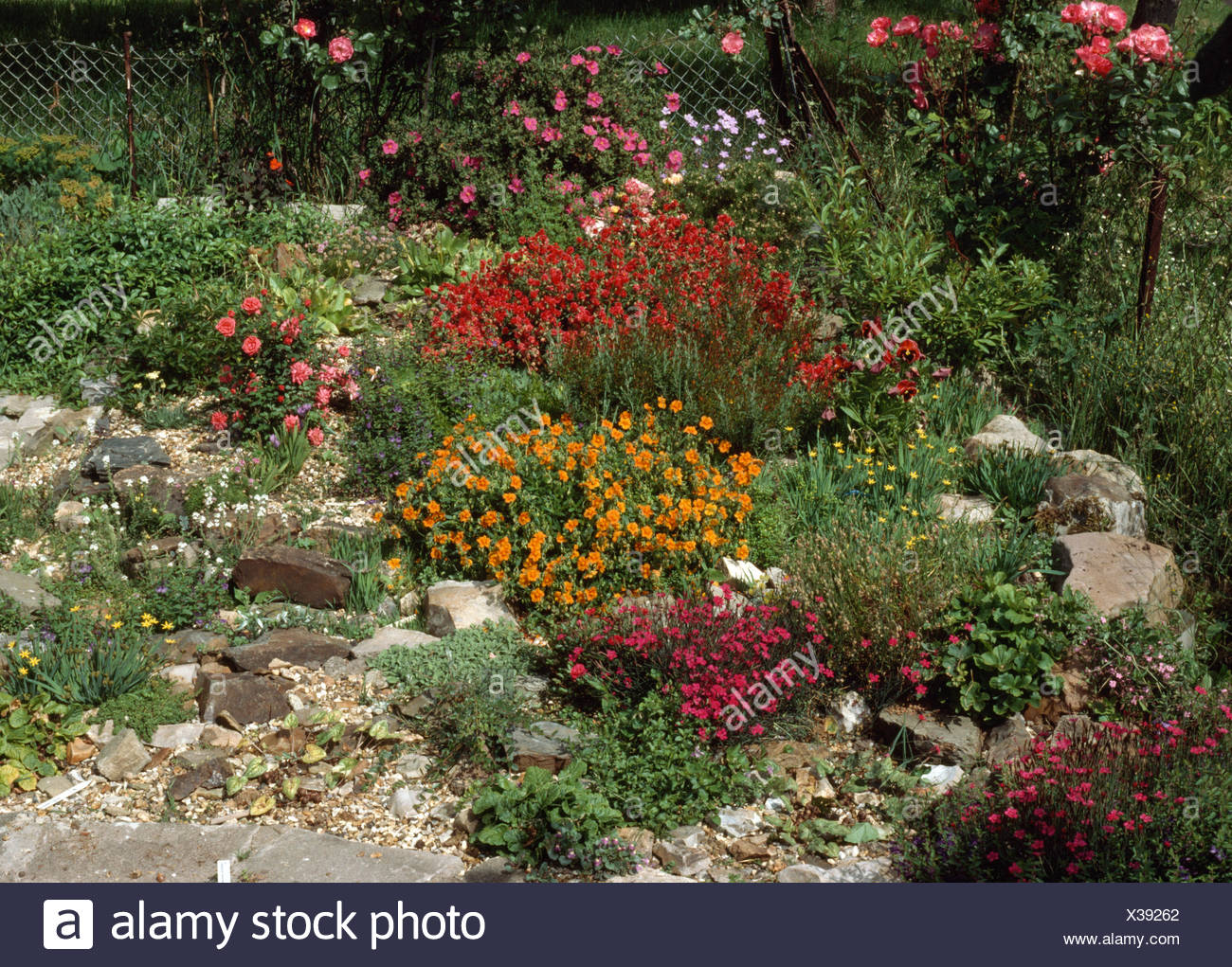 Growing Rockery High Resolution Stock Photography and Images Alamy