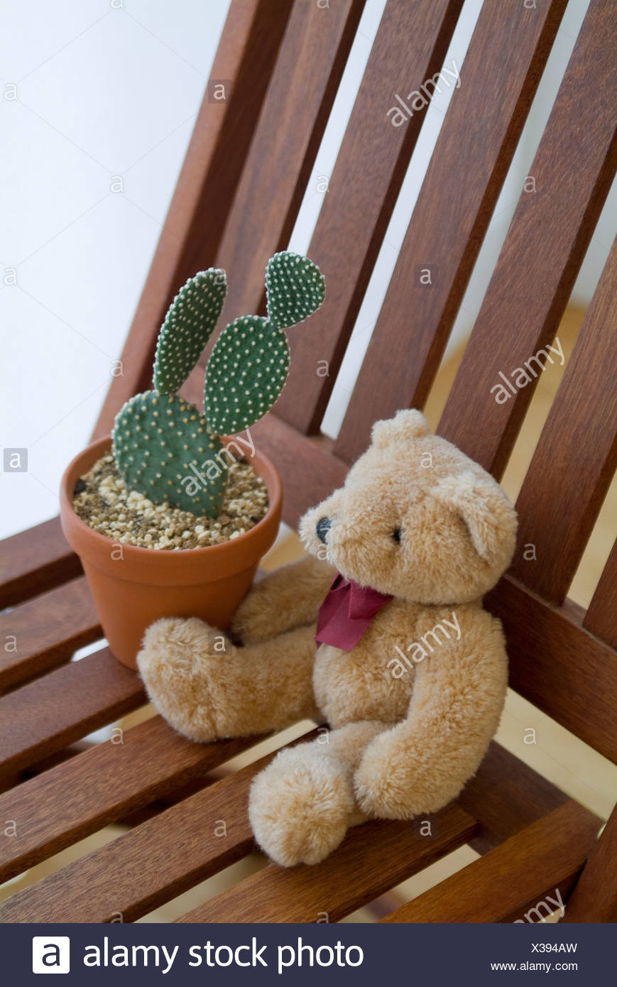 stuffed cactus plant