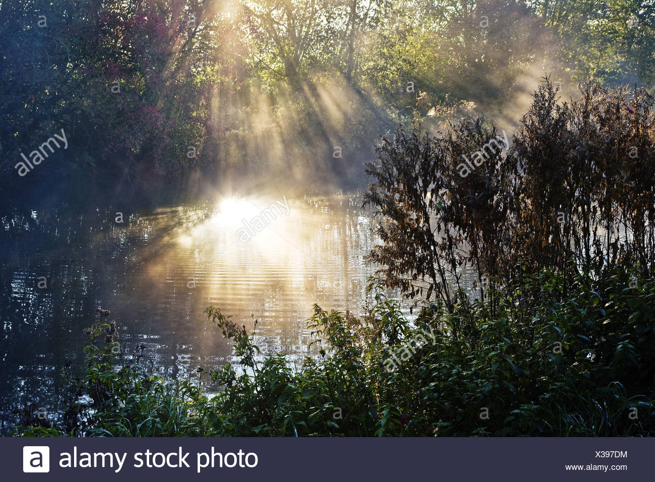 Morning Mist And Sunshine In Autumn Ruhr Near Witten Germany North Rhine Westphalia Ruhr Area Witten Stock Photo Alamy