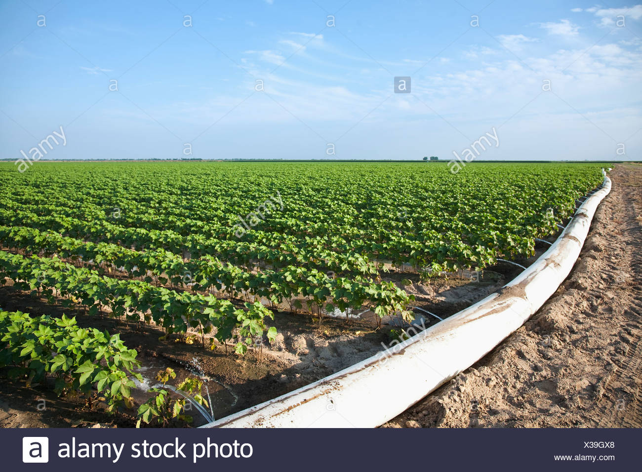 Furrow Irrigation High Resolution Stock Photography and Images Alamy