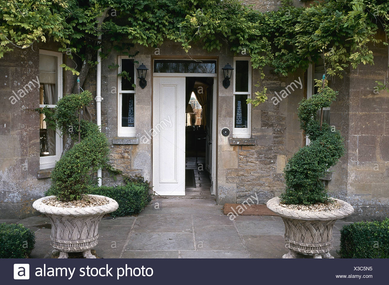 Spiral Topiary Box In Stone Urns In Front Of House With Open