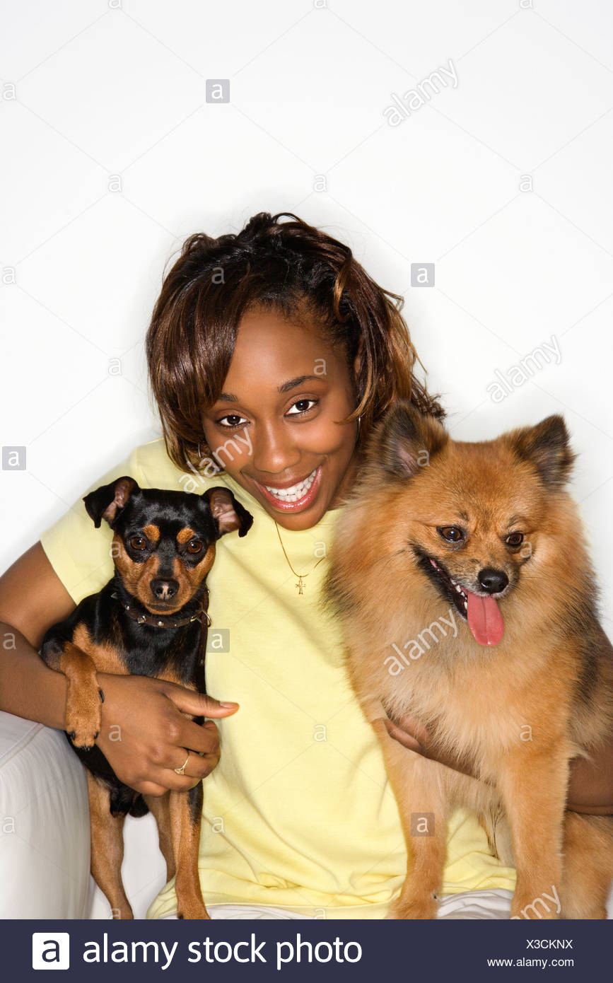 pomeranian mini pinscher