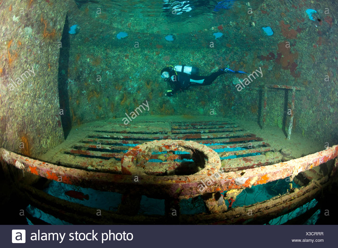 Continental Shelf Underwater High Resolution Stock Photography and