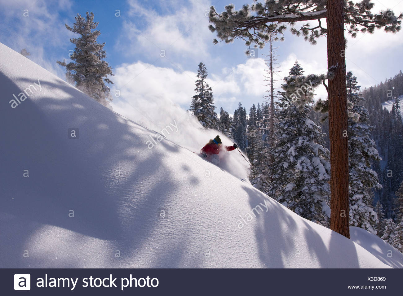 A woman skiing powder snow at Northstar at Tahoe ski area near Lake Tahoe in California Stock Photo