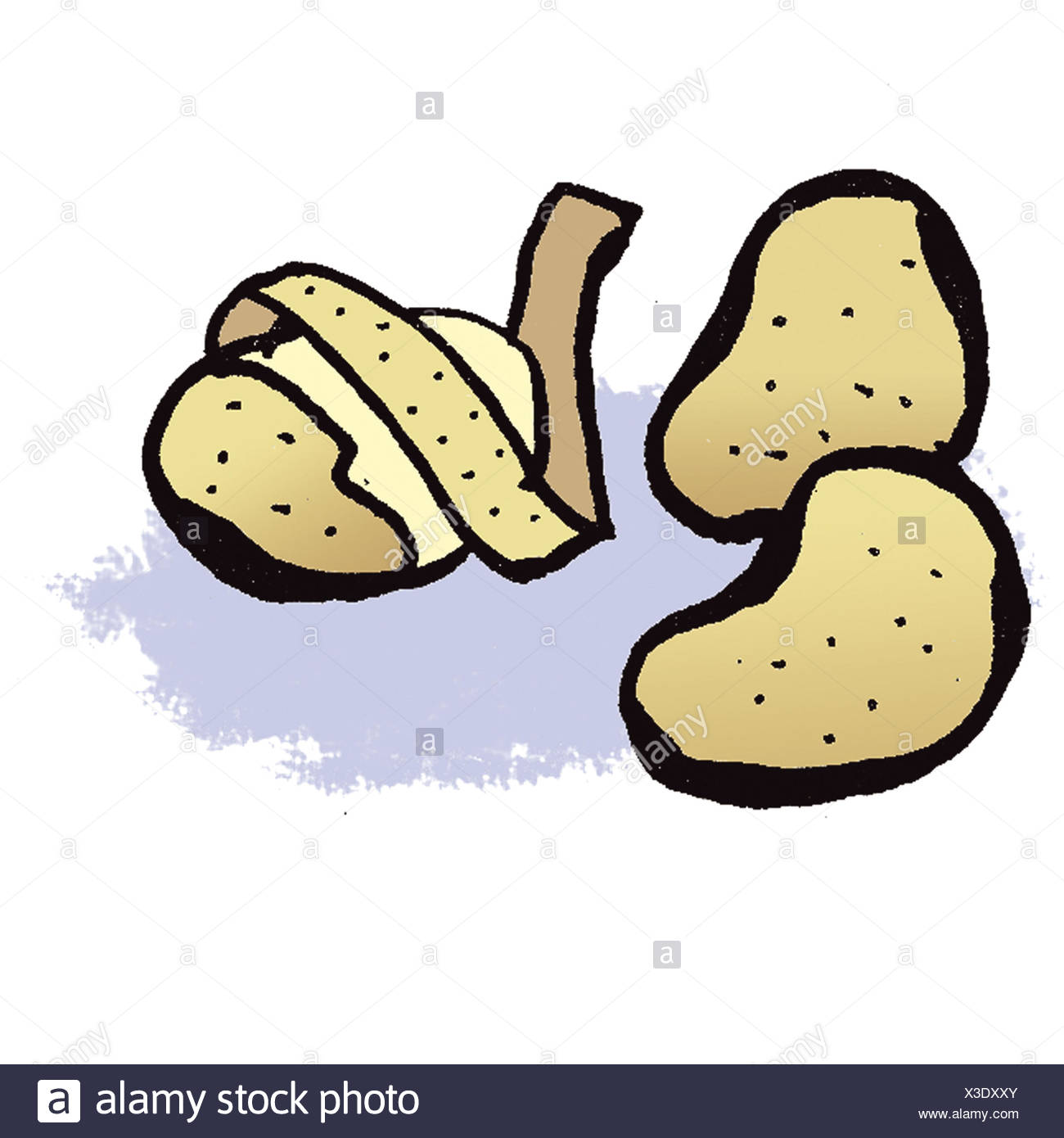 Potato Drawing High Resolution Stock Photography And Images Alamy