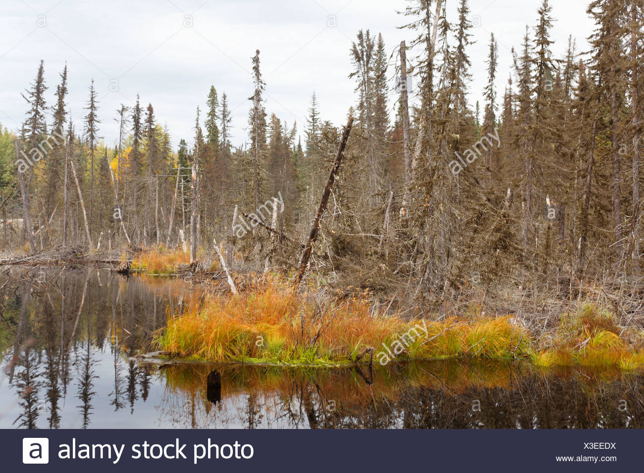 Lake Manicouagan High Resolution Stock Photography and Images Alamy