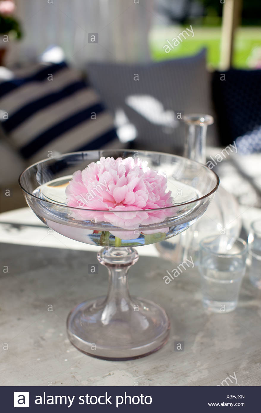 flower in glass