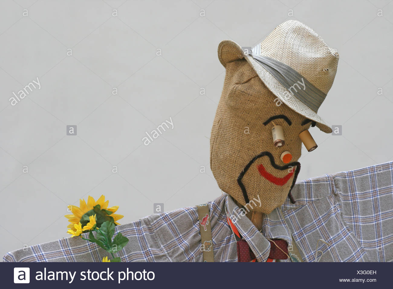 scarecrow Stock Photo
