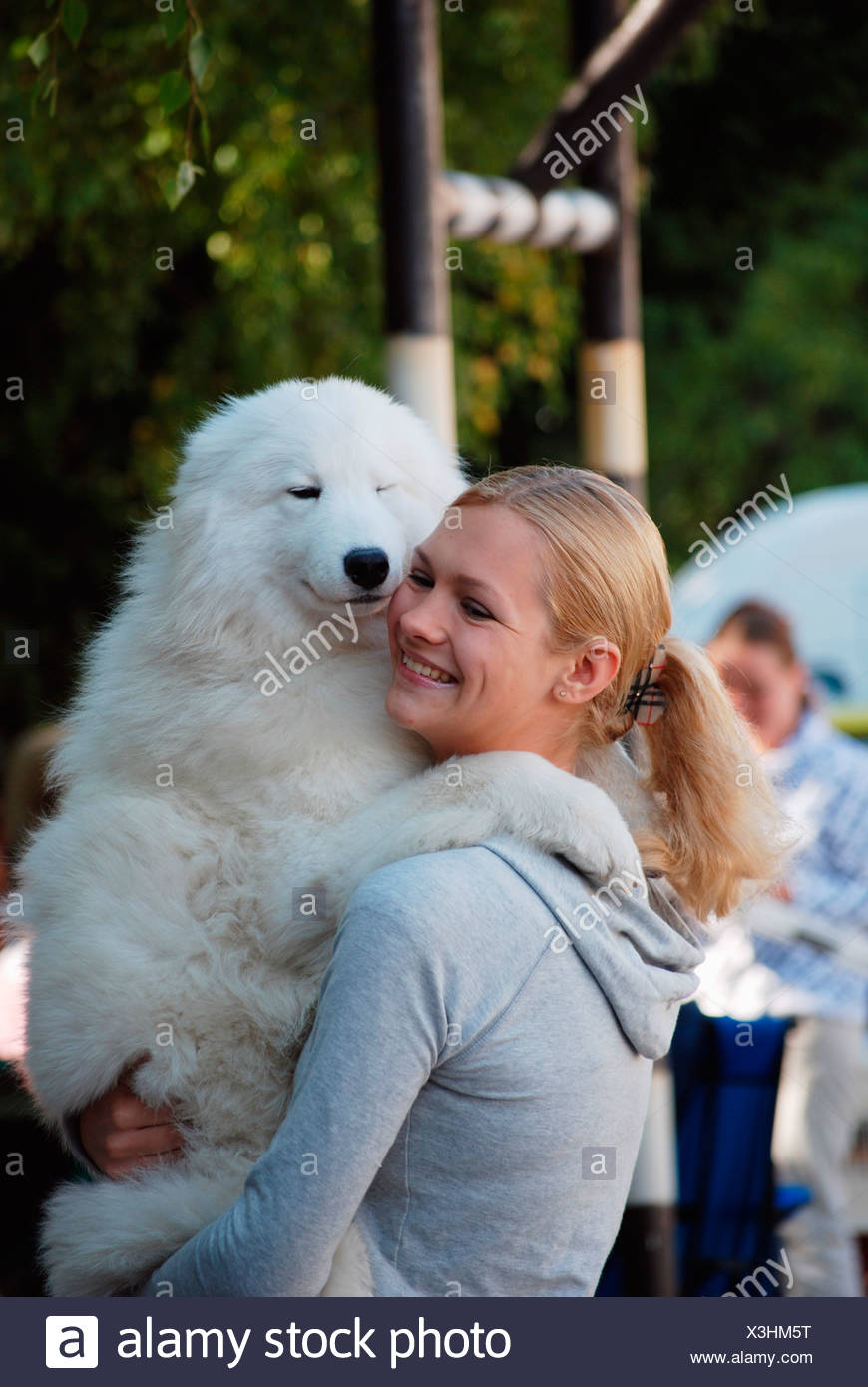 samoyed hug