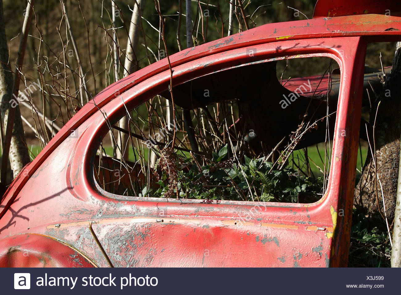 Old Volkswagen beetle overgrown by plants Stock Photo