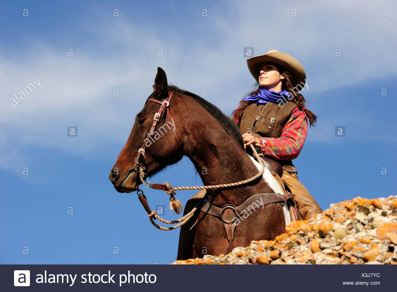 Cowgirl on a horse looking into the 
