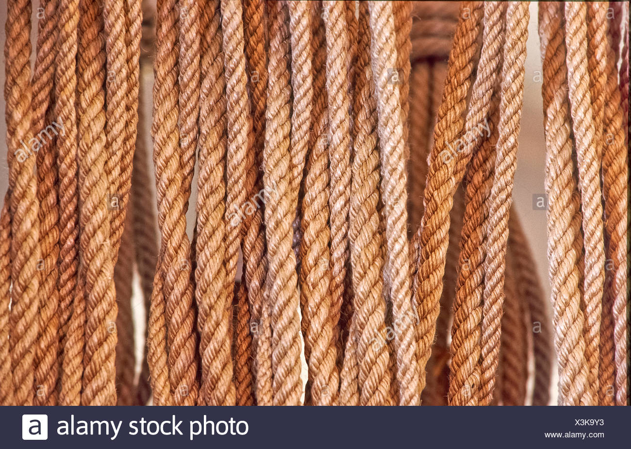 Scourge Whip Stock Photos & Scourge Whip Stock Images - Alamy
