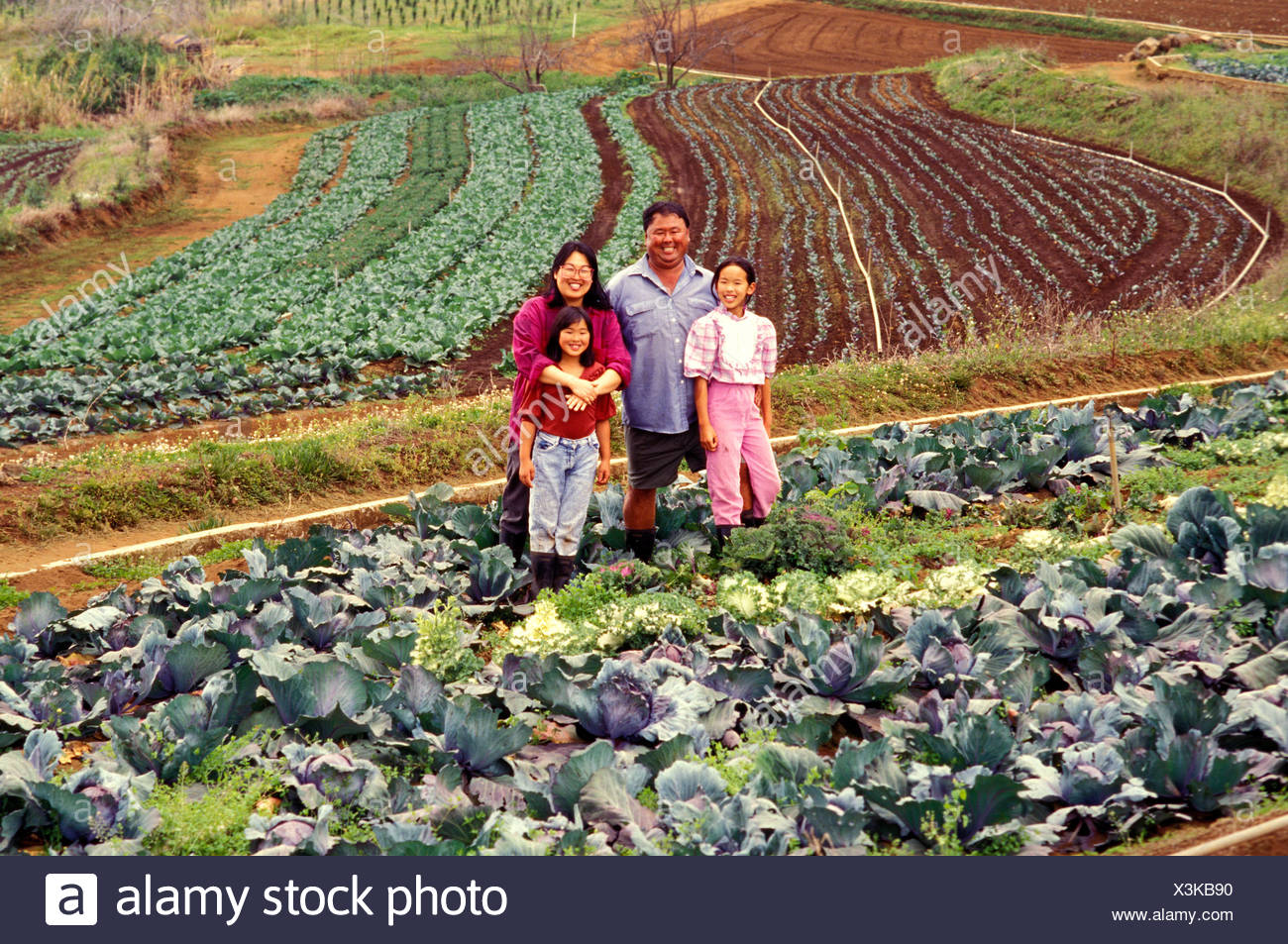 cabbage patch farm