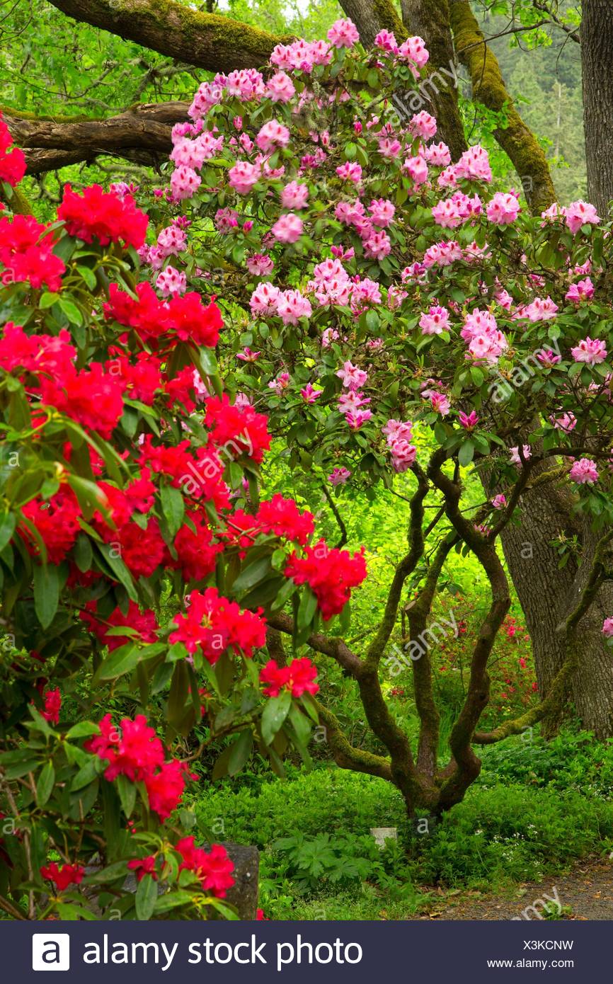 Eugene Oregon Stock Photos & Eugene Oregon Stock Images Alamy