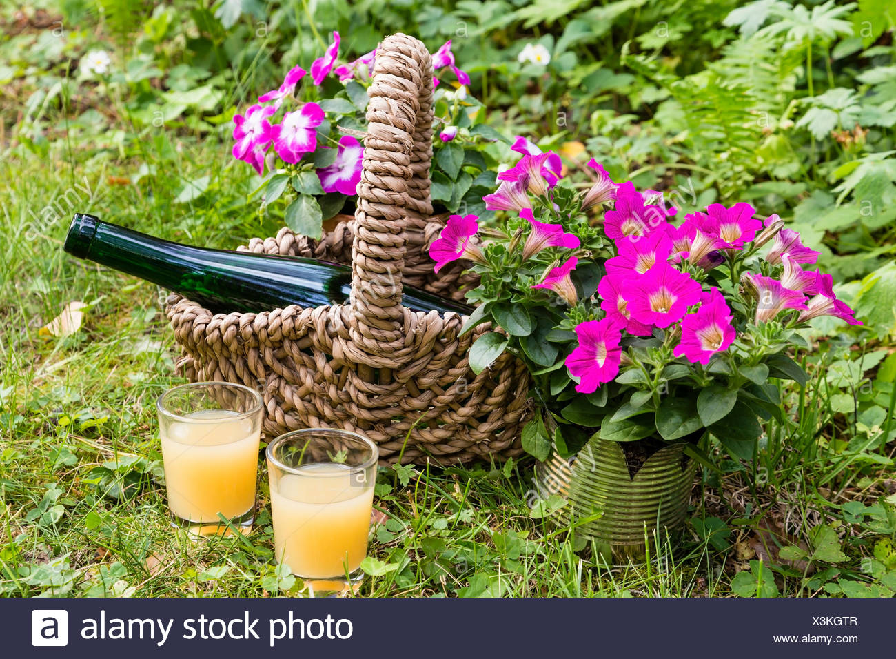 Stillleben Mit Flasche Und Glaser Im Garten Still Life With