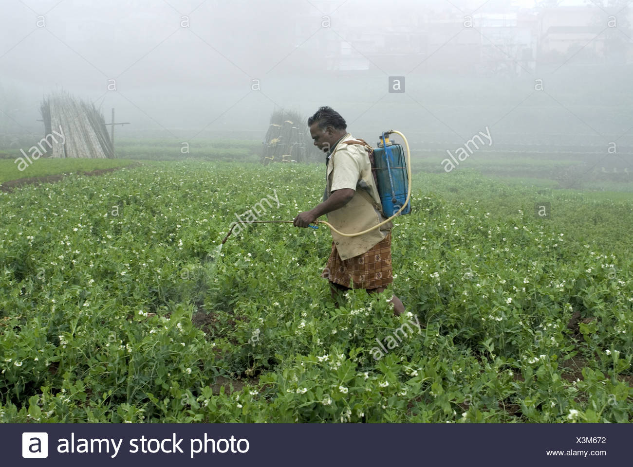 Farm India Pesticide High Resolution Stock Photography and Images Alamy
