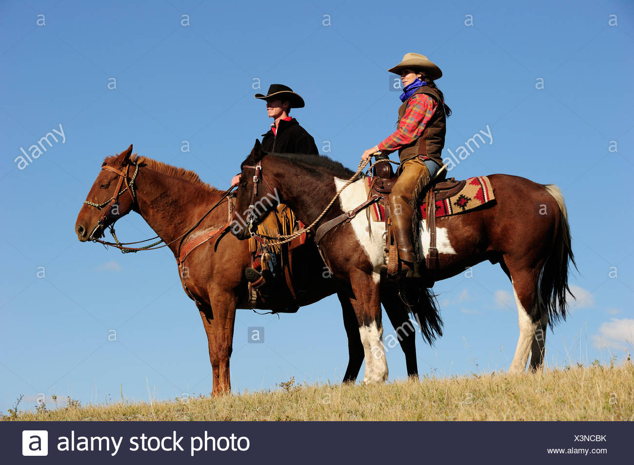 Cowgirl and cowboy on horses looking into the distance, Saskatchewan, Canada, North America Stock Photo
