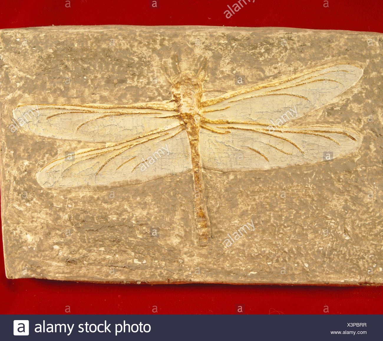 Late Jurassic High Resolution Stock Photography and Images - Alamy