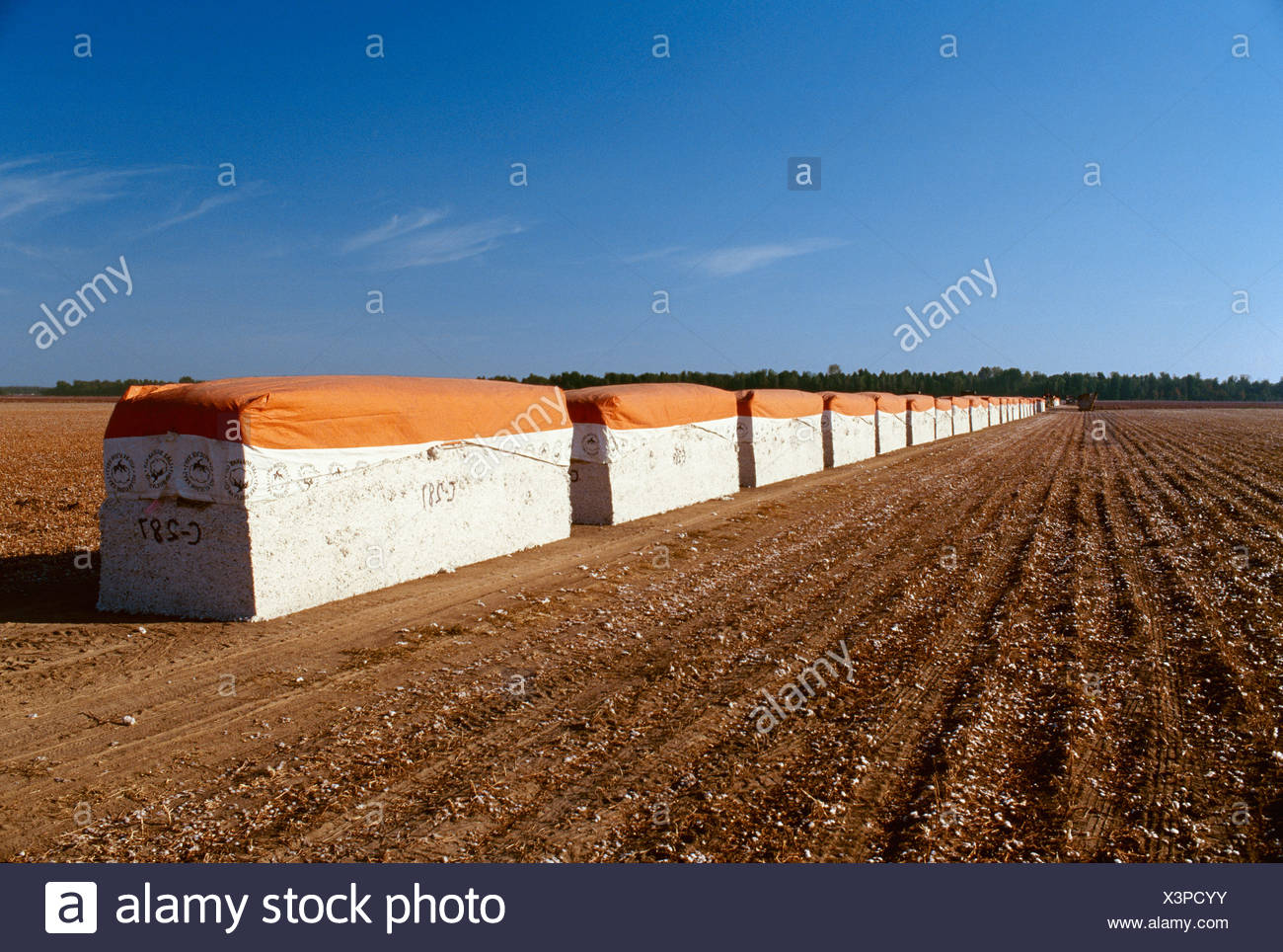 Cotton Module High Resolution Stock Photography and Images Alamy