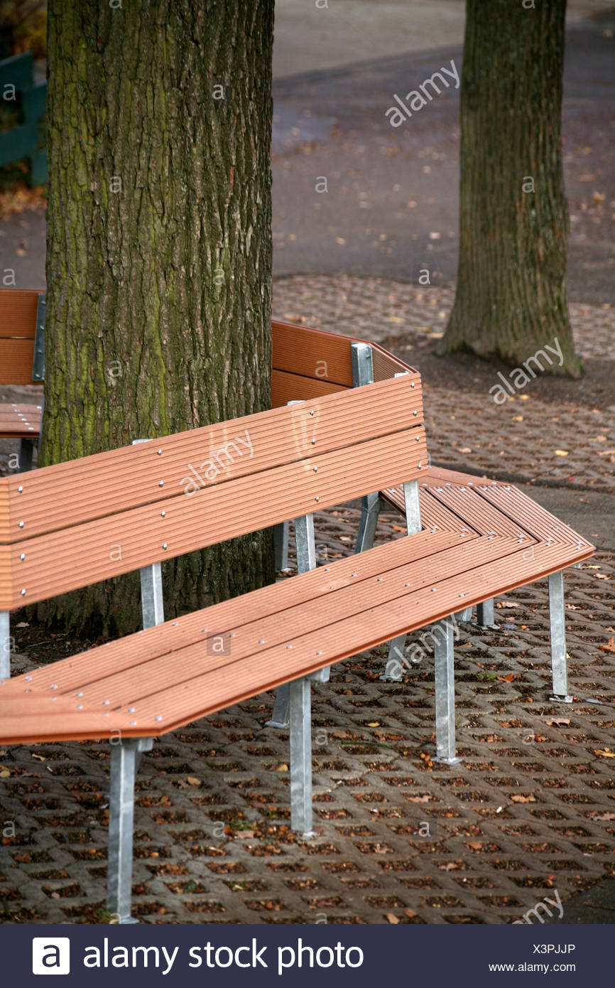 Tree Trees Brown Brownish Brunette Trunk Plaster Benches Seat