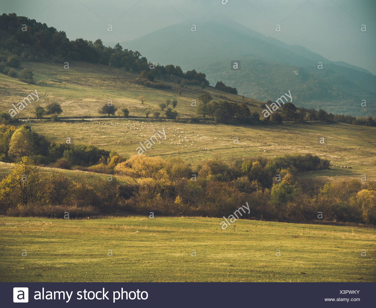 Rural Landscape Montana Bulgaria Stock Photo Alamy