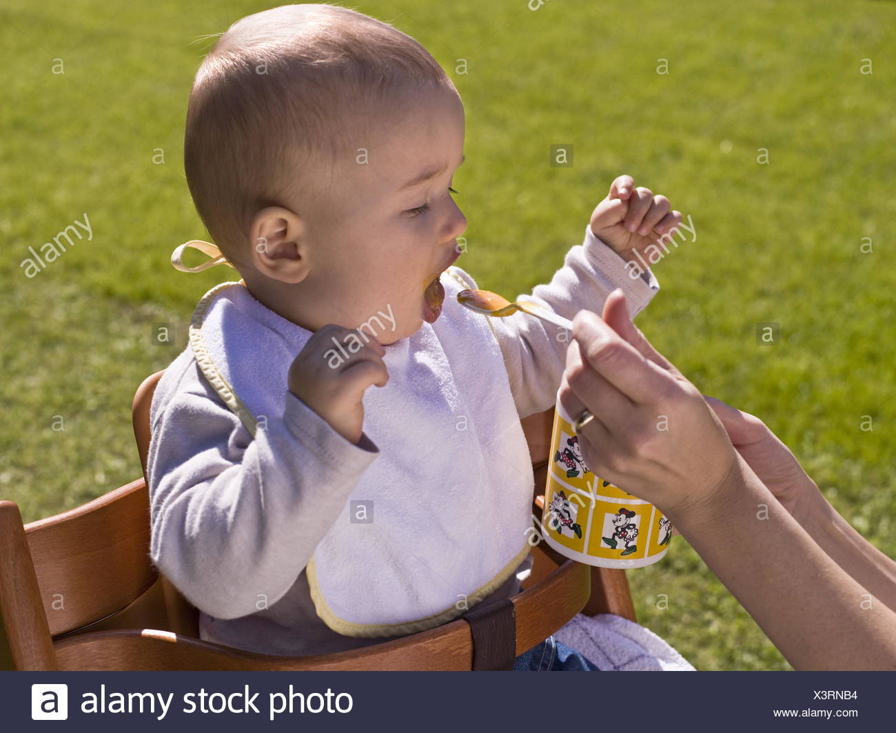 Garden Woman Detail Hands Spoons Cup Baby Feed High