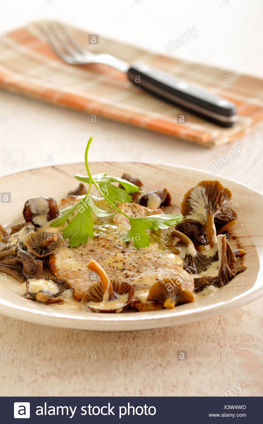 Creamy Mushroom Sauce High Resolution Stock Photography and Images Alamy