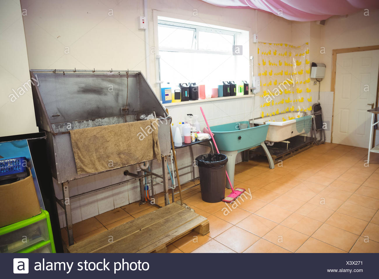 dog care centre near me