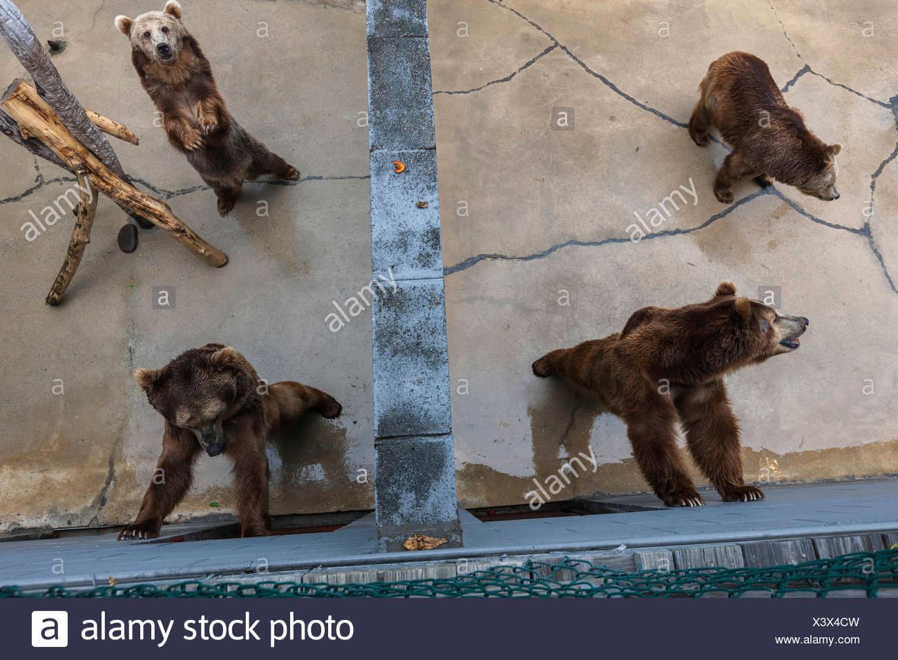Zoo Cherokee High Resolution Stock Photography and Images Alamy
