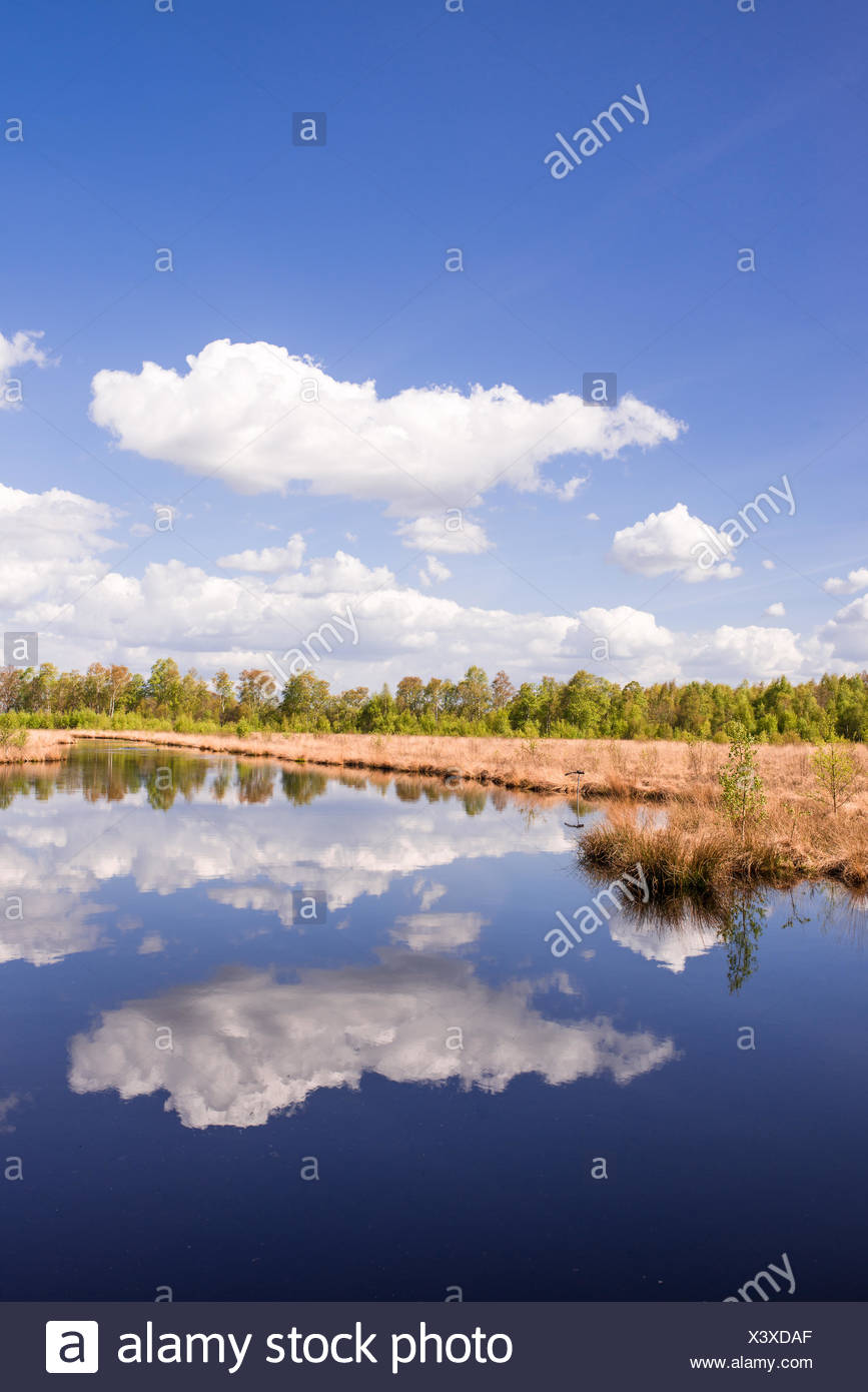 moor landscape Stock Photo