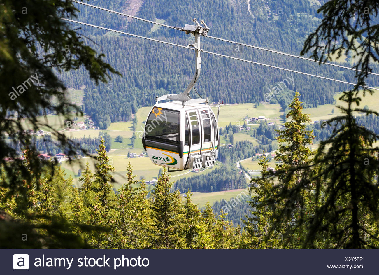 Gondola Tree High Resolution Stock Photography and Images - Alamy