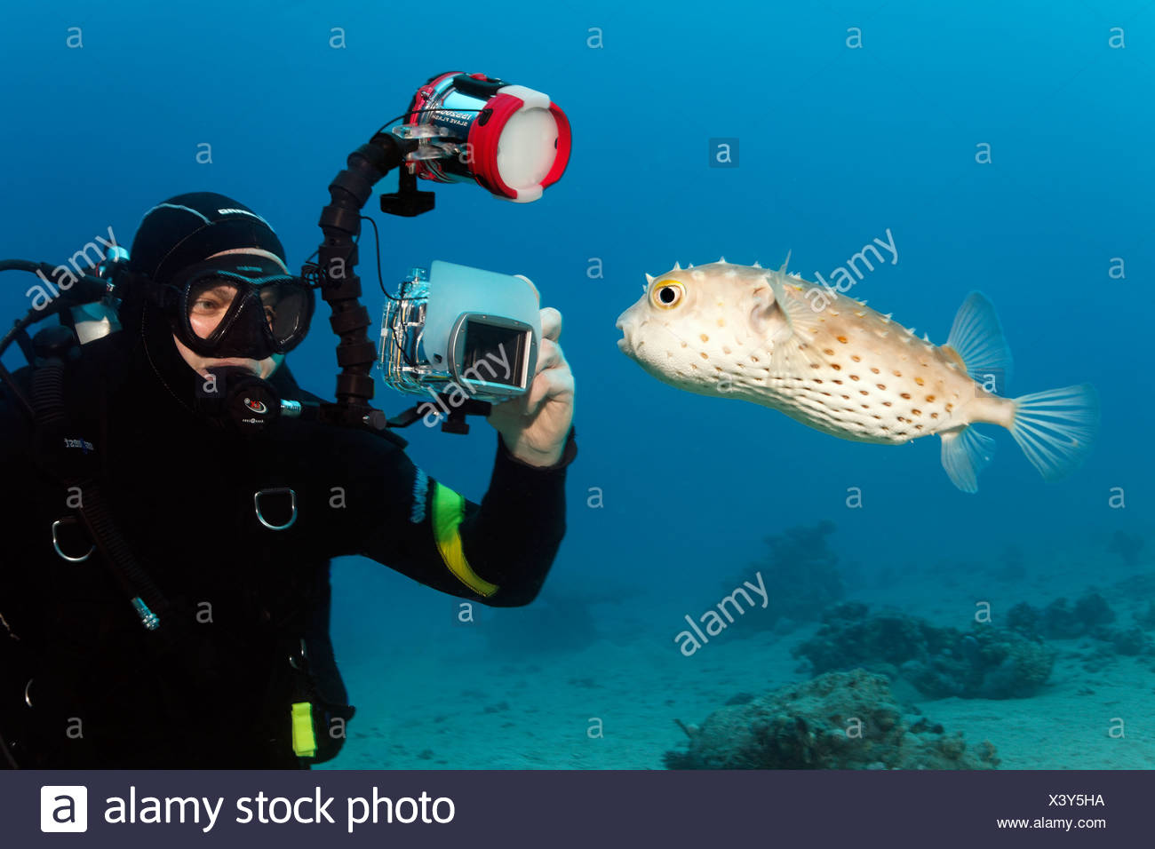 Photo Stock Photos & Photo Stock Images - Alamy