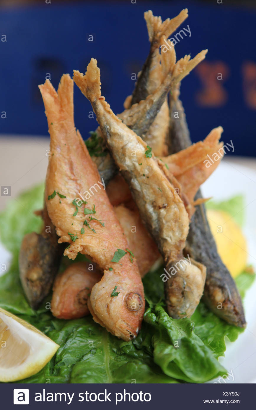 Striped Mullet Stock Photos & Striped Mullet Stock Images Alamy