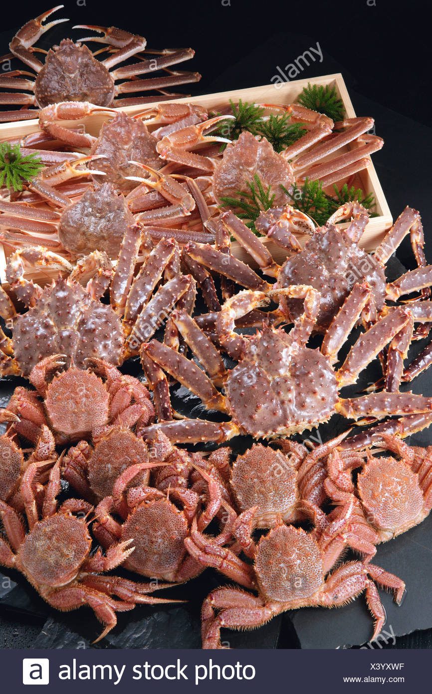 Queen Crabs Stock Photos & Queen Crabs Stock Images Alamy