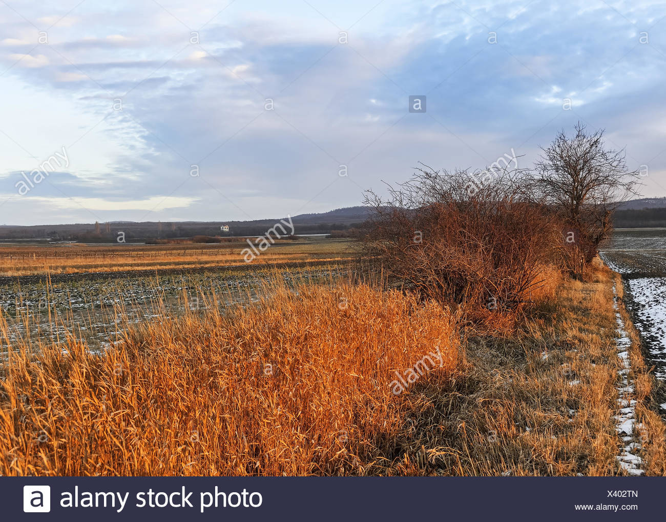Strip Fields High Resolution Stock Photography and Images Alamy