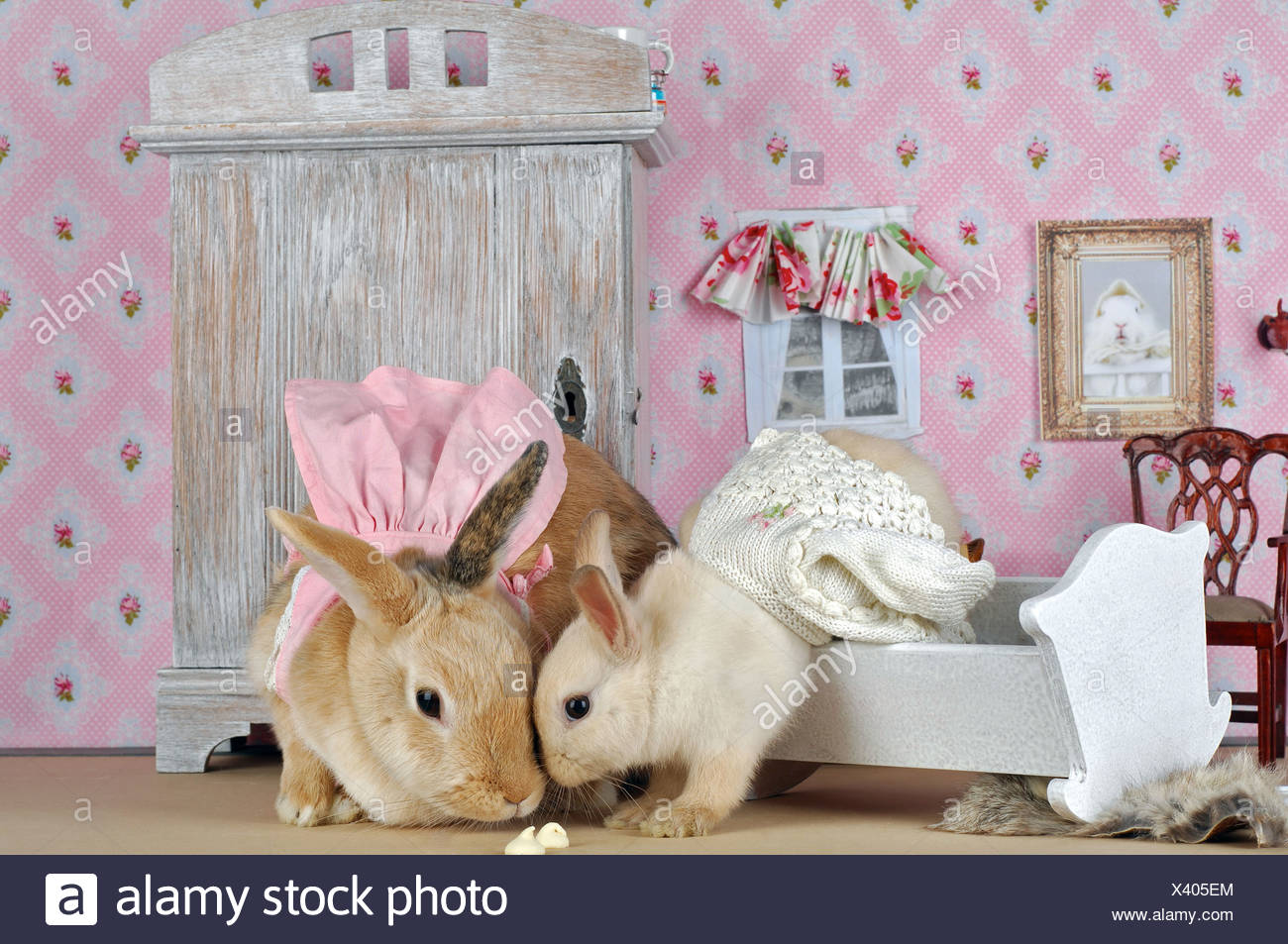 rabbit dollhouse