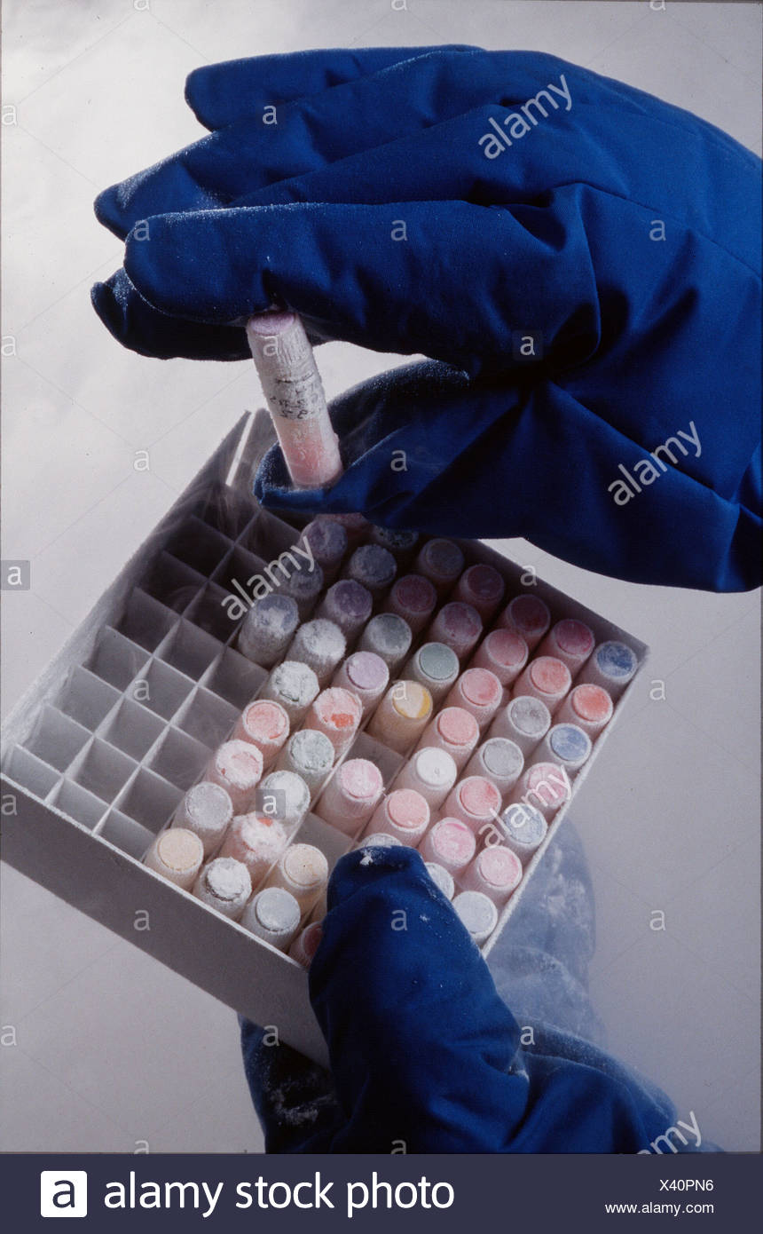 alamy